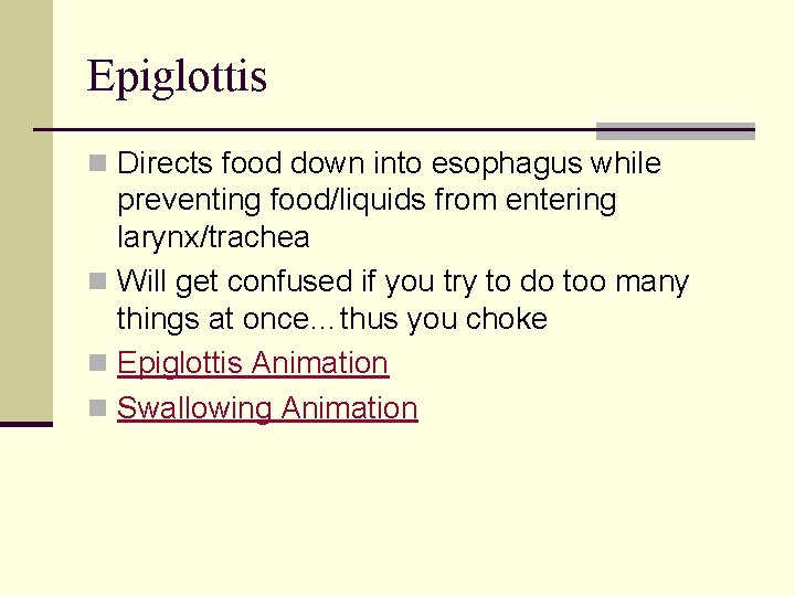 Epiglottis n Directs food down into esophagus while preventing food/liquids from entering larynx/trachea n