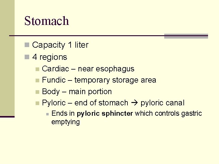 Stomach n Capacity 1 liter n 4 regions n Cardiac – near esophagus n