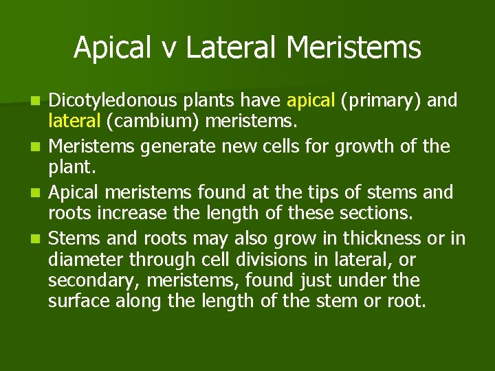 Apical v Lateral Meristems Dicotyledonous plants have apical (primary) and lateral (cambium) meristems. n