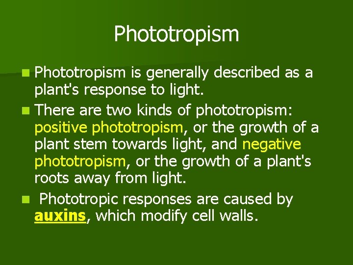 Phototropism n Phototropism is generally described as a plant's response to light. n There