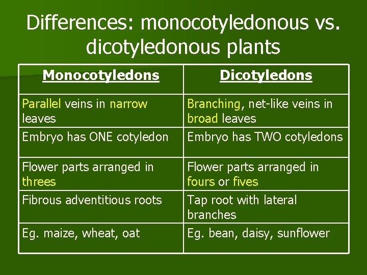 Differences: monocotyledonous vs. dicotyledonous plants Monocotyledons Dicotyledons Parallel veins in narrow leaves Embryo has