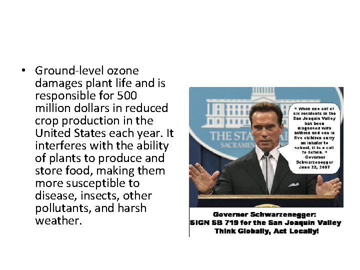  • Ground-level ozone damages plant life and is responsible for 500 million dollars