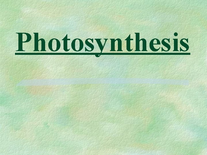 Photosynthesis 