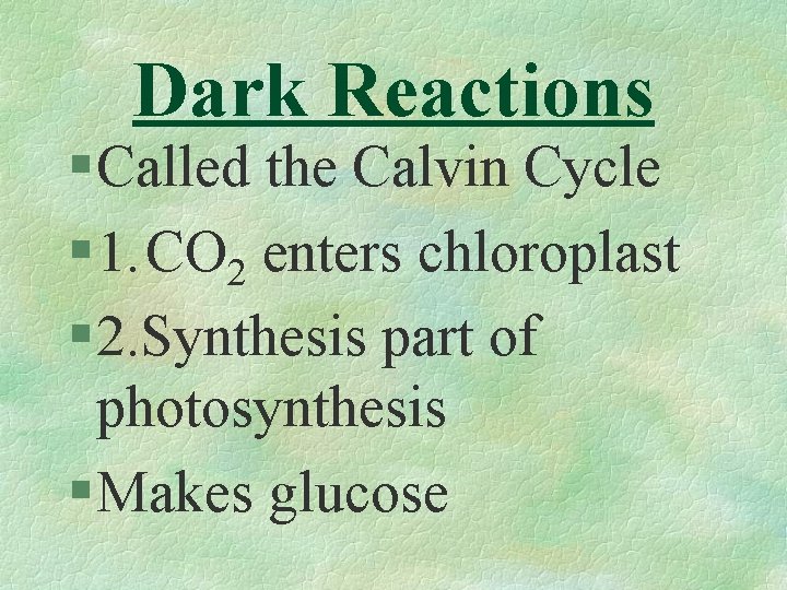 Dark Reactions § Called the Calvin Cycle § 1. CO 2 enters chloroplast §
