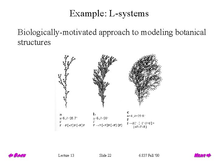 Example: L-systems Biologically-motivated approach to modeling botanical structures Lecture 13 Slide 22 6. 837