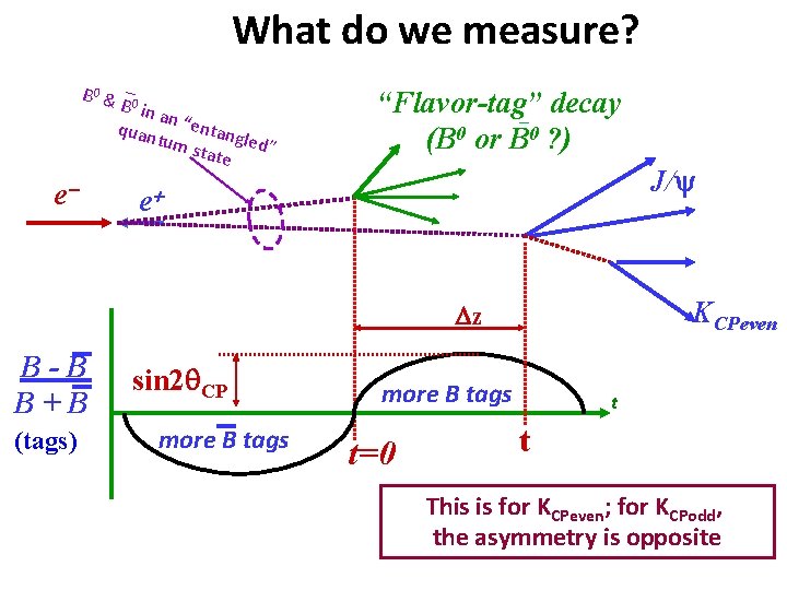 What do we measure? B 0 & _0 B in an quan “entang tum