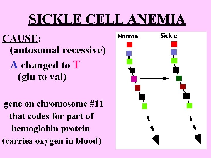 SICKLE CELL ANEMIA CAUSE: (autosomal recessive) A changed to T (glu to val) gene SICKLE CELL ANEMIA CAUSE: (autosomal recessive) A changed to T (glu to val) gene