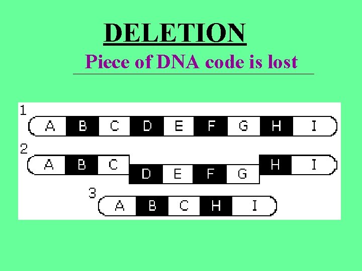 DELETION Piece of DNA code is lost ____________________ DELETION Piece of DNA code is lost ____________________
