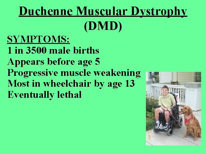 Duchenne Muscular Dystrophy (DMD) SYMPTOMS: 1 in 3500 male births Appears before age 5 Duchenne Muscular Dystrophy (DMD) SYMPTOMS: 1 in 3500 male births Appears before age 5