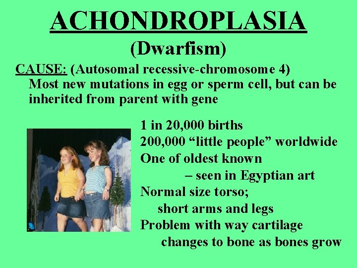 ACHONDROPLASIA (Dwarfism) CAUSE: (Autosomal recessive-chromosome 4) Most new mutations in egg or sperm cell, ACHONDROPLASIA (Dwarfism) CAUSE: (Autosomal recessive-chromosome 4) Most new mutations in egg or sperm cell,