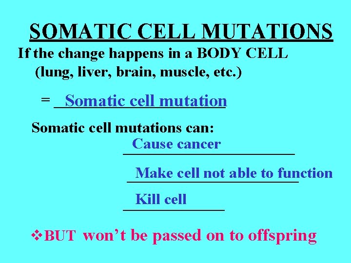 SOMATIC CELL MUTATIONS If the change happens in a BODY CELL (lung, liver, brain, SOMATIC CELL MUTATIONS If the change happens in a BODY CELL (lung, liver, brain,