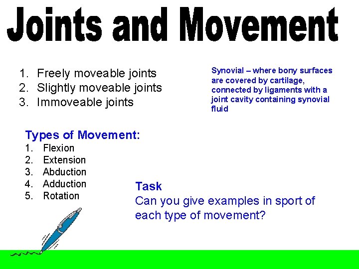 1. Freely moveable joints 2. Slightly moveable joints 3. Immoveable joints Synovial – where 1. Freely moveable joints 2. Slightly moveable joints 3. Immoveable joints Synovial – where