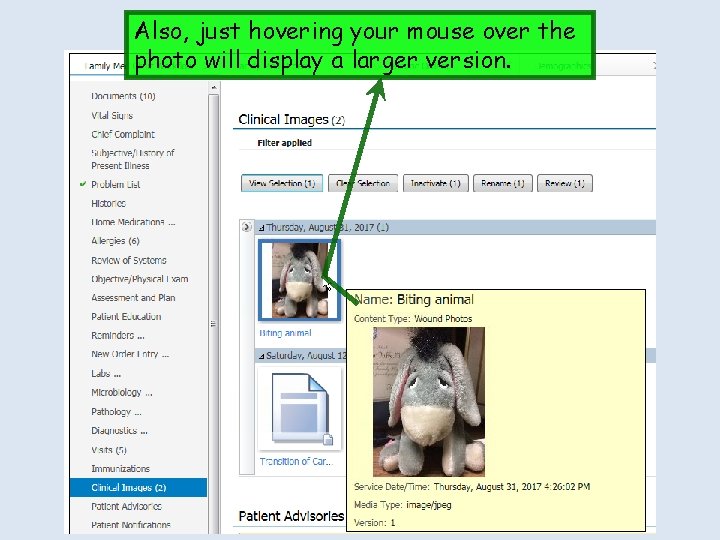 Also, just hovering your mouse over the photo will display a larger version. 