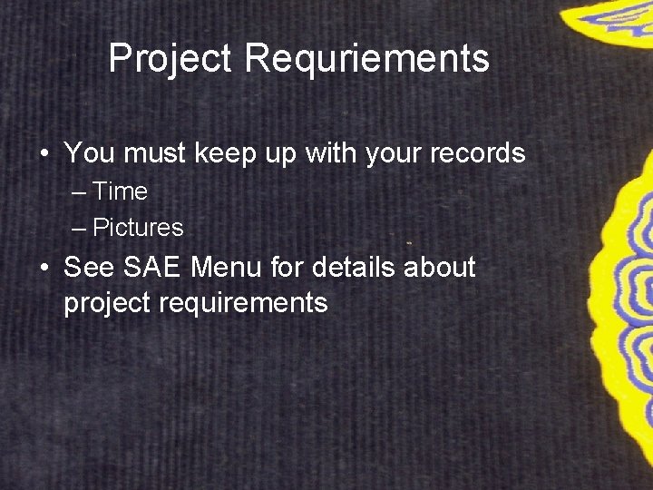 Project Requriements • You must keep up with your records – Time – Pictures