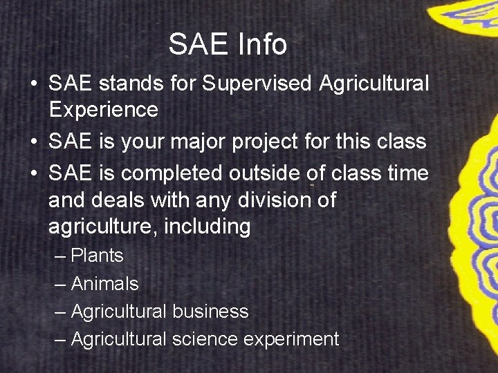 SAE Info • SAE stands for Supervised Agricultural Experience • SAE is your major