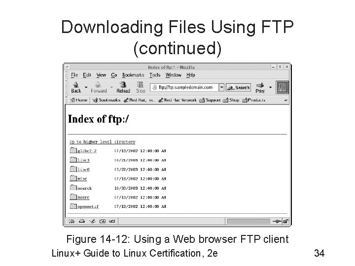 Downloading Files Using FTP (continued) Figure 14 -12: Using a Web browser FTP client