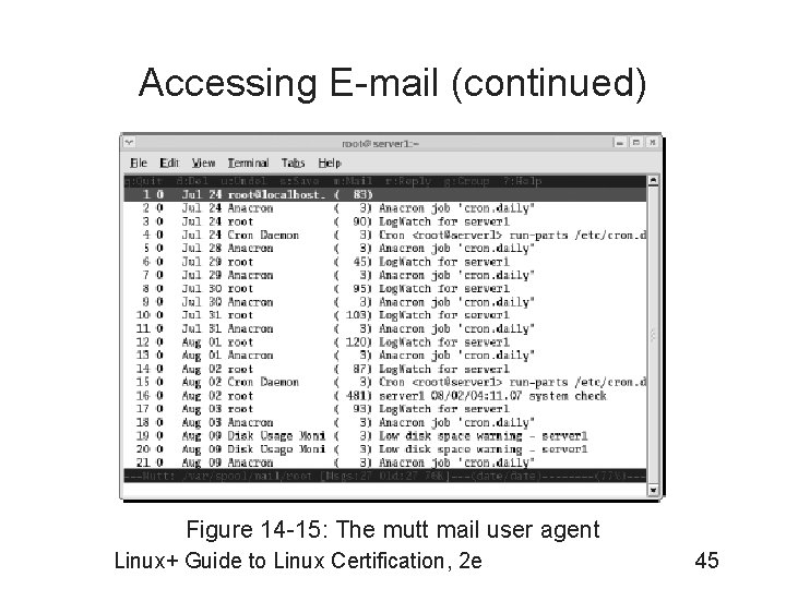 Accessing E-mail (continued) Figure 14 -15: The mutt mail user agent Linux+ Guide to