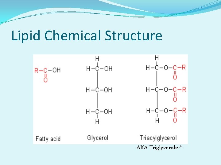 Lipid Chemical Structure AKA Triglyceride ^ 