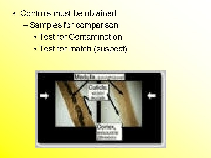  • Controls must be obtained – Samples for comparison • Test for Contamination