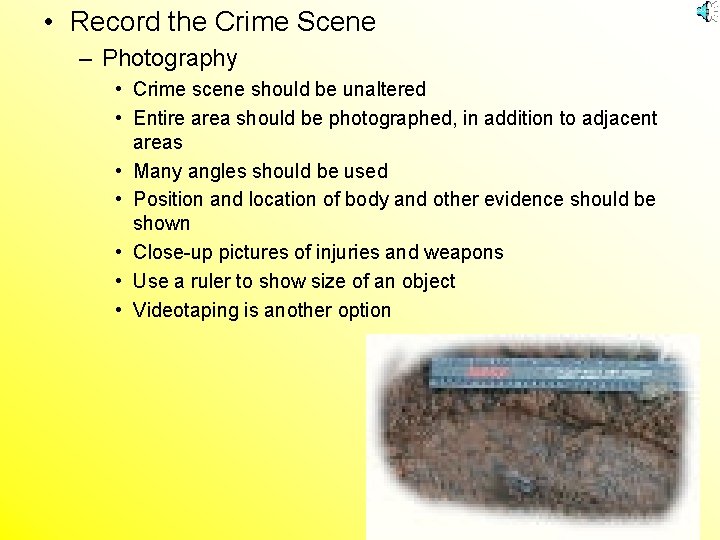  • Record the Crime Scene – Photography • Crime scene should be unaltered