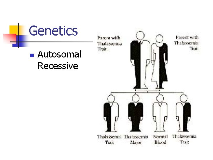 Genetics n Autosomal Recessive 