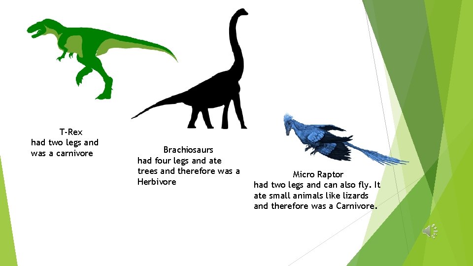 T-Rex had two legs and was a carnivore Brachiosaurs had four legs and ate