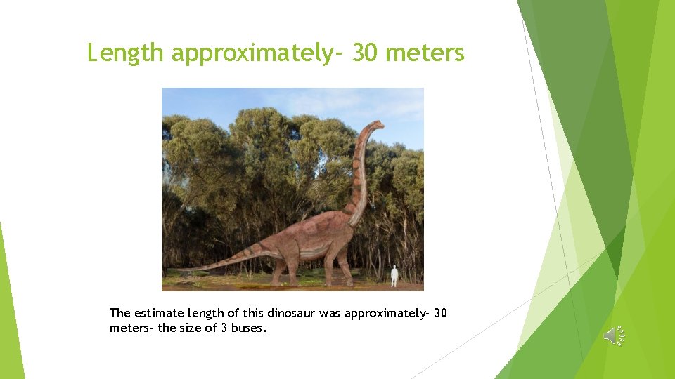Length approximately- 30 meters The estimate length of this dinosaur was approximately- 30 meters-