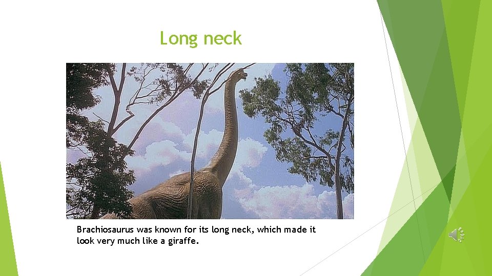 Long neck Brachiosaurus was known for its long neck, which made it look very