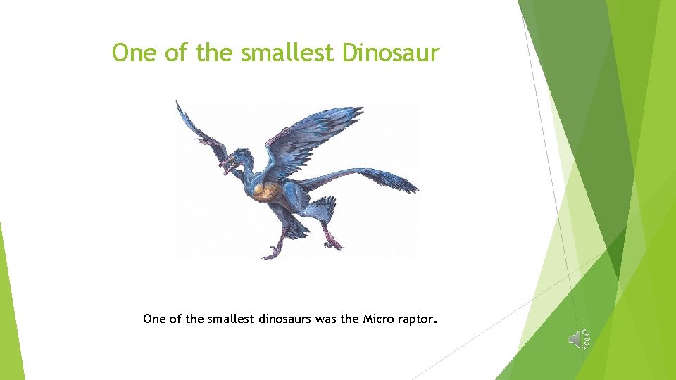 One of the smallest Dinosaur One of the smallest dinosaurs was the Micro raptor.