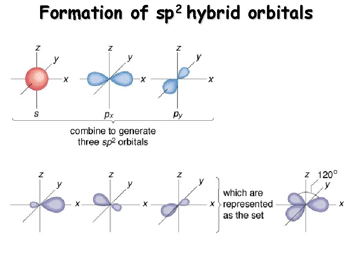 Formation of sp 2 hybrid orbitals 