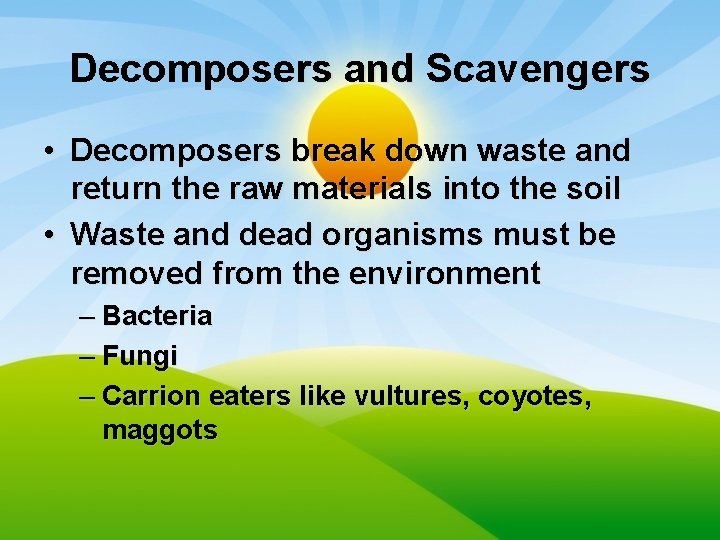 Decomposers and Scavengers • Decomposers break down waste and return the raw materials into
