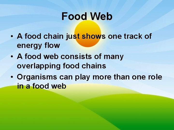 Food Web • A food chain just shows one track of energy flow •