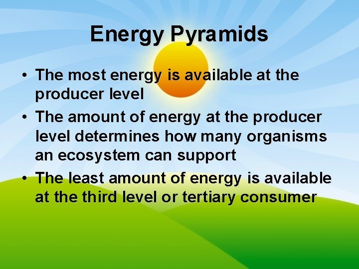 Energy Pyramids • The most energy is available at the producer level • The
