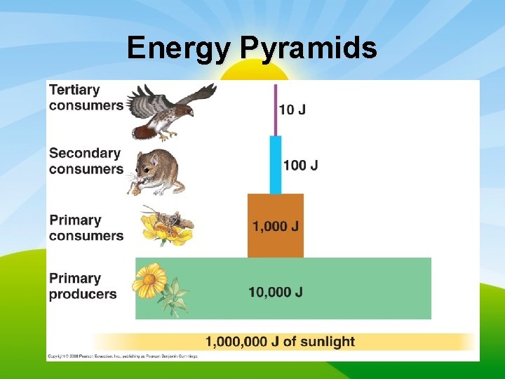 Energy Pyramids 