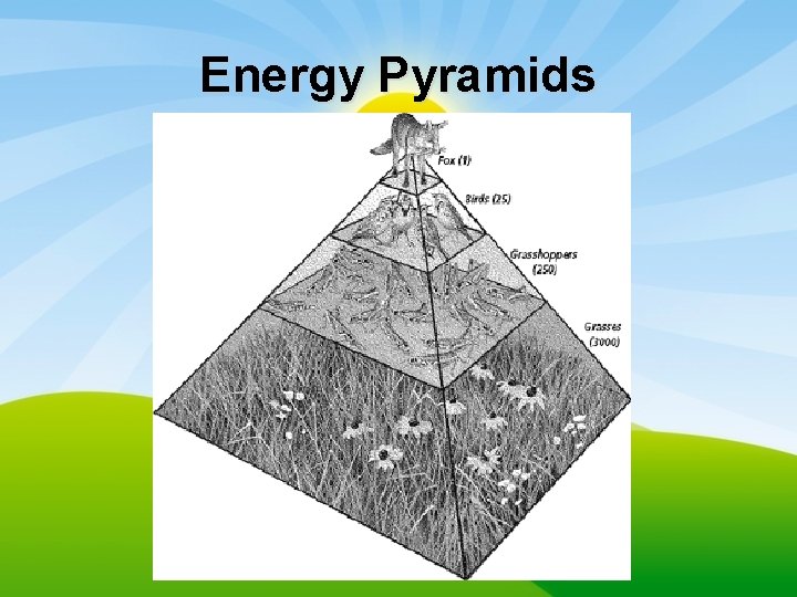 Energy Pyramids 