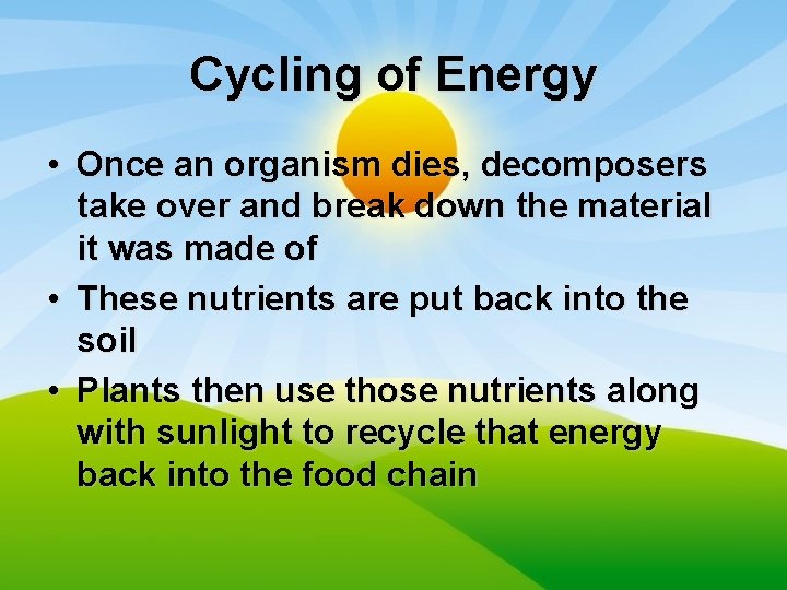 Cycling of Energy • Once an organism dies, decomposers take over and break down