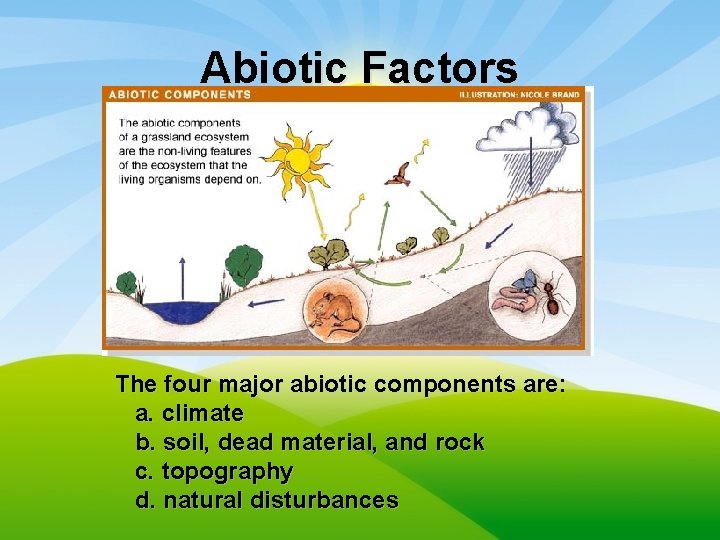 Abiotic Factors The four major abiotic components are: a. climate b. soil, dead material,