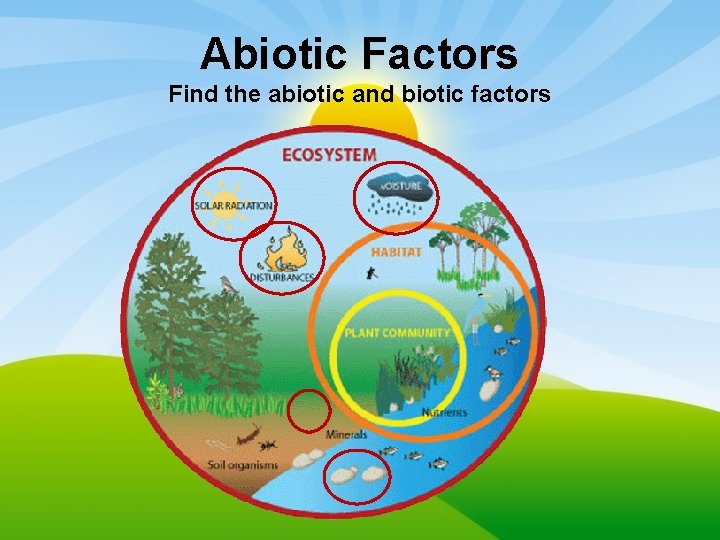 Abiotic Factors Find the abiotic and biotic factors 