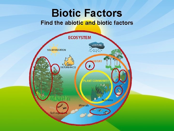 Biotic Factors Find the abiotic and biotic factors 