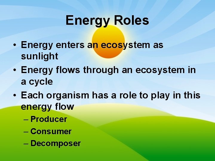 Energy Roles • Energy enters an ecosystem as sunlight • Energy flows through an