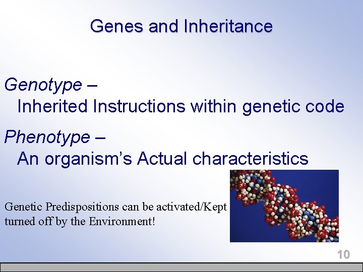 Genes and Inheritance Genotype – Inherited Instructions within genetic code Phenotype – An organism’s