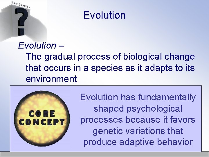 Evolution – The gradual process of biological change that occurs in a species as