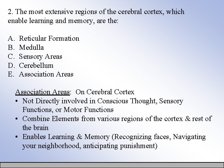 2. The most extensive regions of the cerebral cortex, which enable learning and memory,