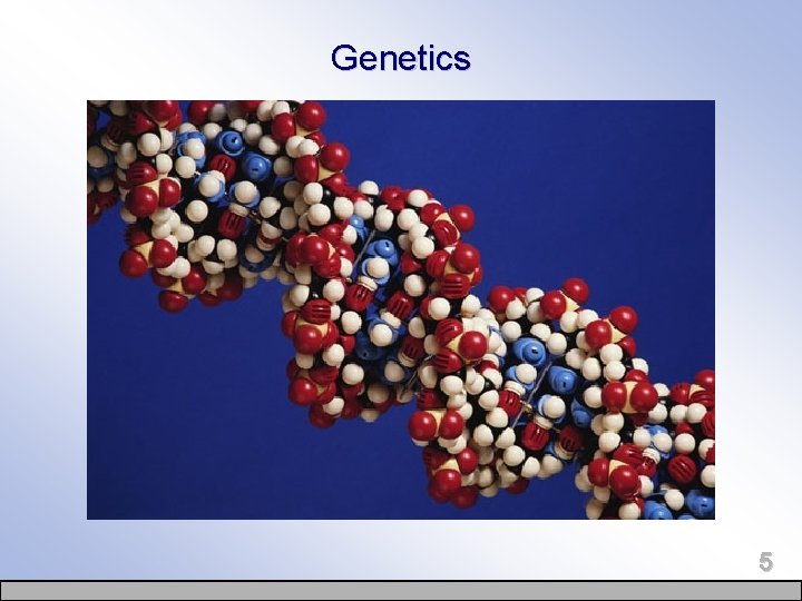 Genetics 5 