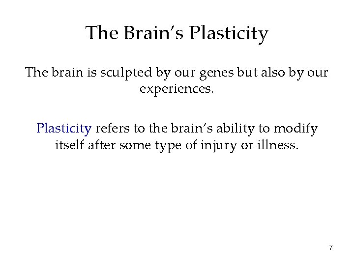 The Brain’s Plasticity The brain is sculpted by our genes but also by our