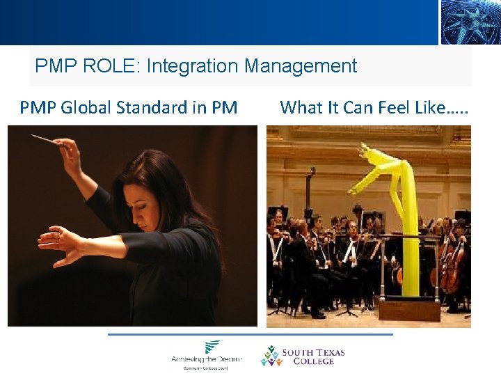 PMP ROLE: Integration Management PMP Global Standard in PM What It Can Feel Like….