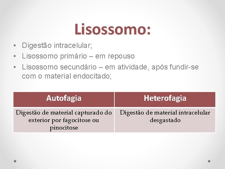 Lisossomo: • Digestão intracelular; • Lisossomo primário – em repouso • Lisossomo secundário –