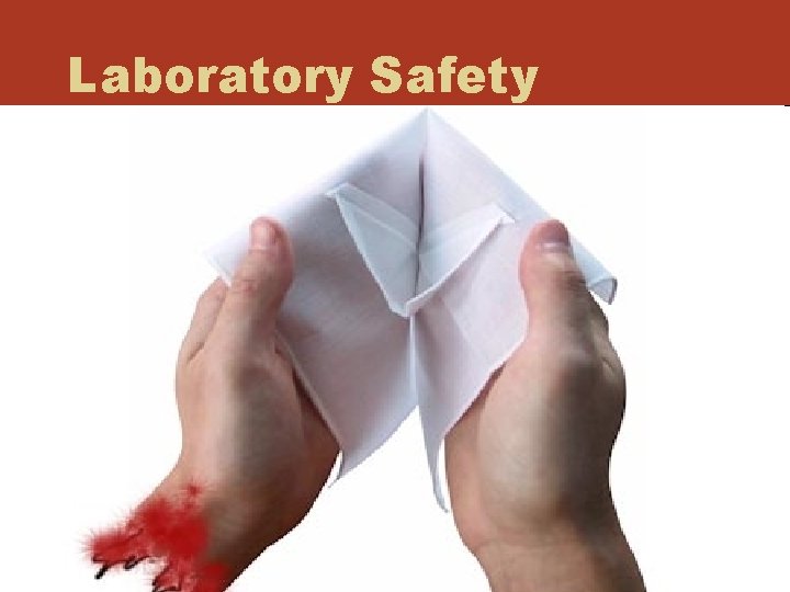 Laboratory Safety 