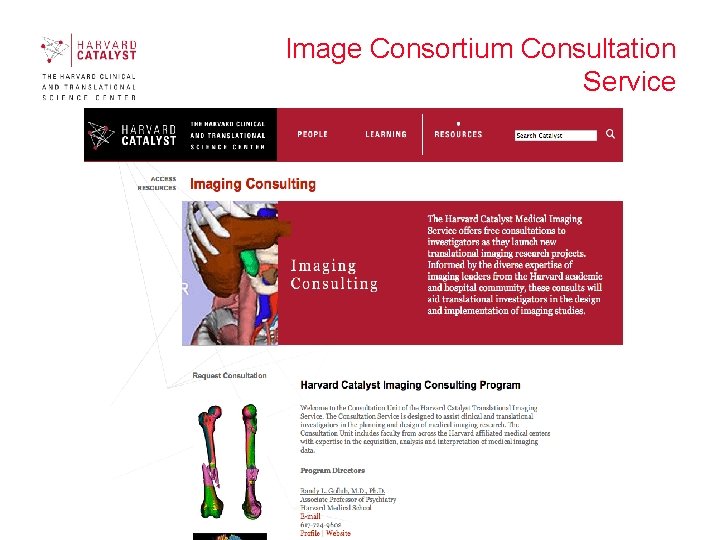 Image Consortium Consultation Service 10 