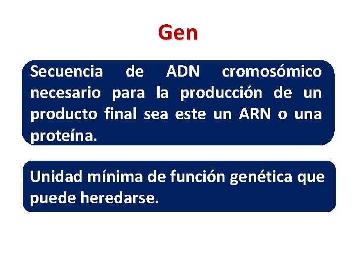 Gen Secuencia de ADN cromosómico necesario para la producción de un producto final sea
